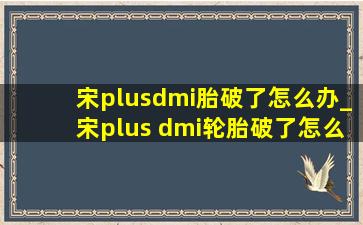 宋plusdmi胎破了怎么办_宋plus dmi轮胎破了怎么办